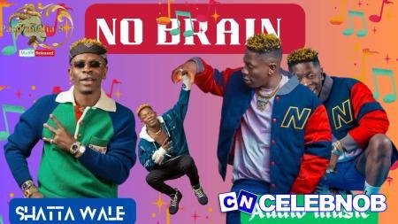 Cover art of Shatta Wale – No Brain