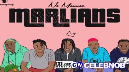 Cover art of Dzibeatz – Marlians Afrobeat instrumental