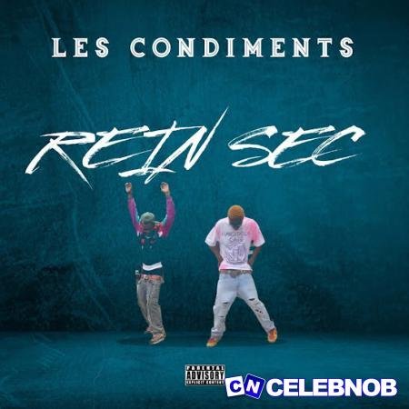Cover art of Les condiments – Rein Sec