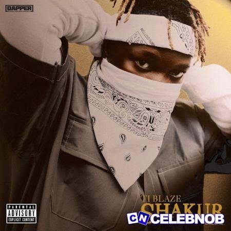 Cover art of T.I BLAZE – Dodge