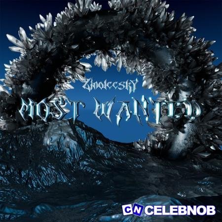 Cover art of Zinoleesky – Most Wanted