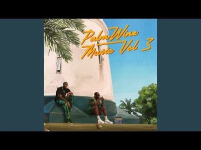 Cover art of Show Dem Camp – Feel Something Ft Tim Lyre